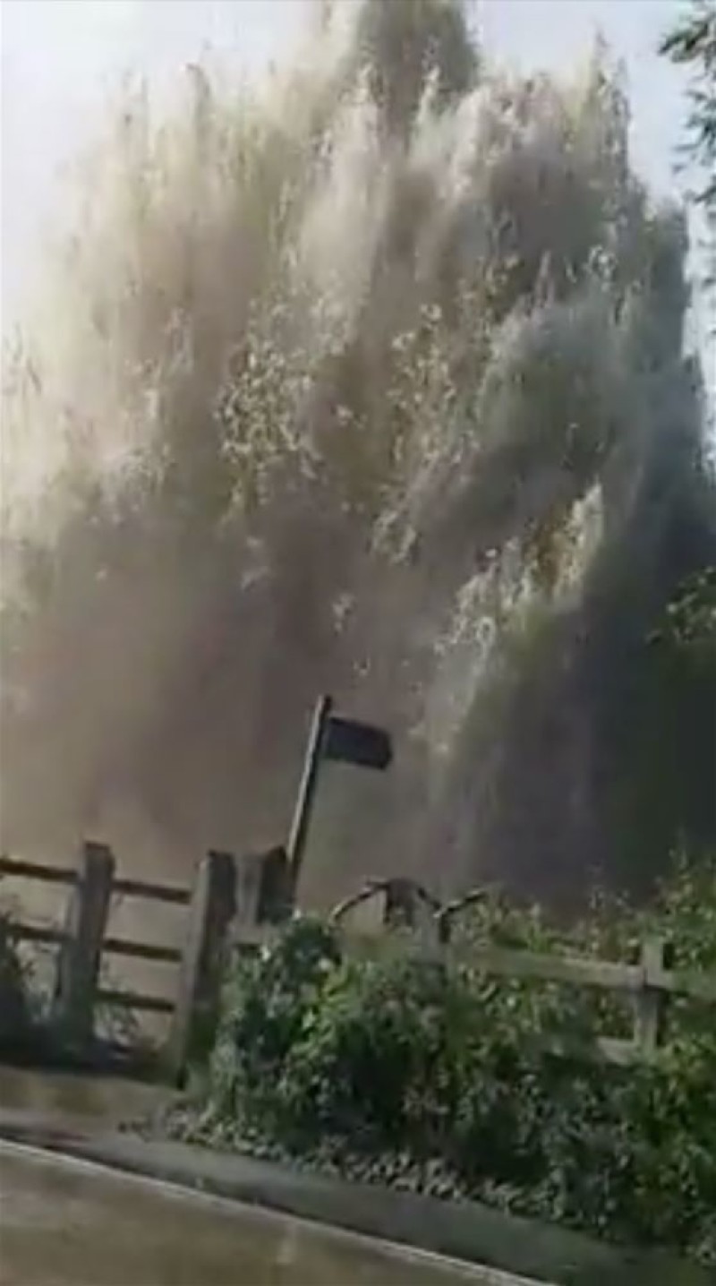 Other image for Leak sent water gushing into air
